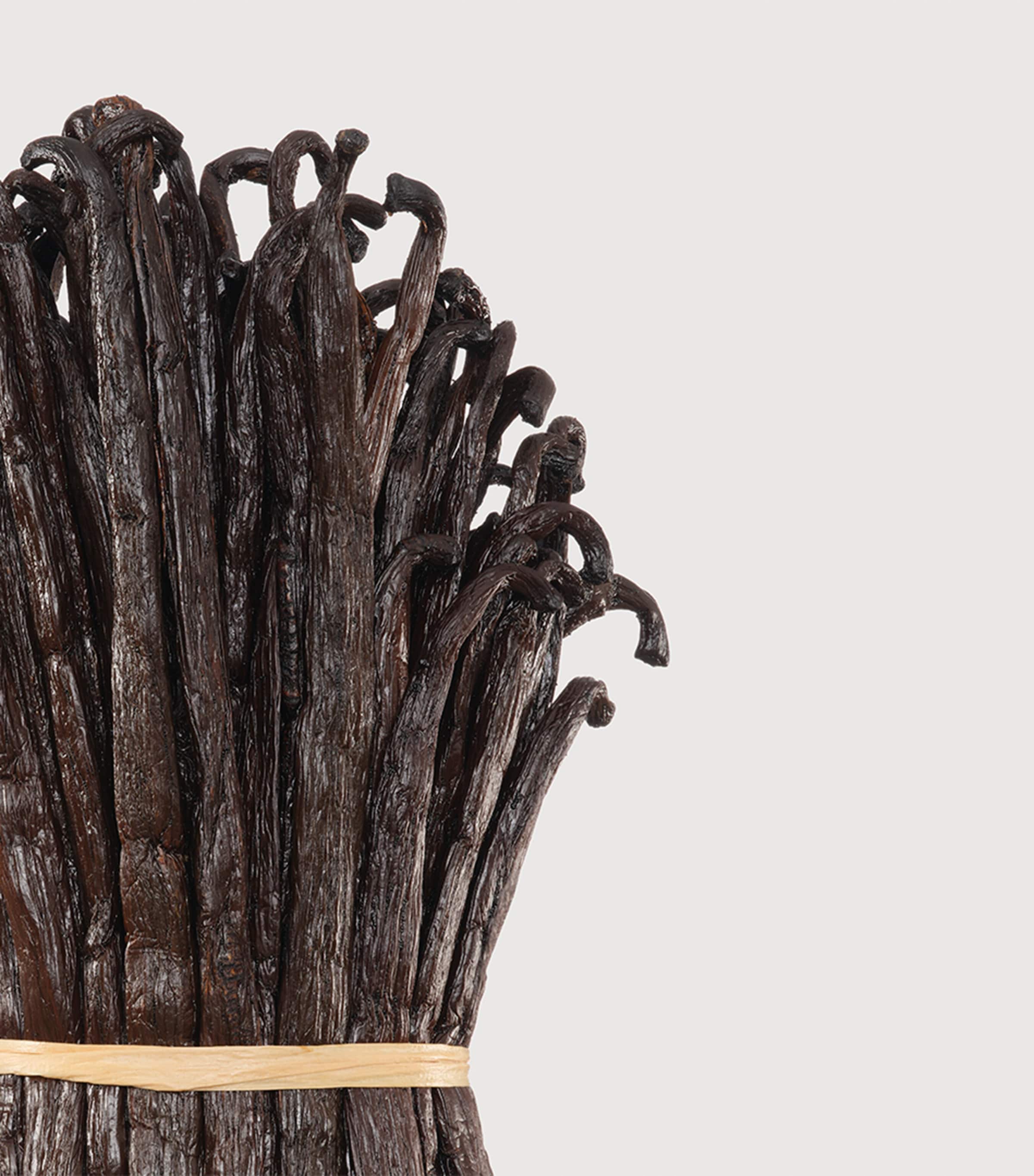 Vanilla Powder Extrait de Parfum (50ml) NO COLOUR Image 3