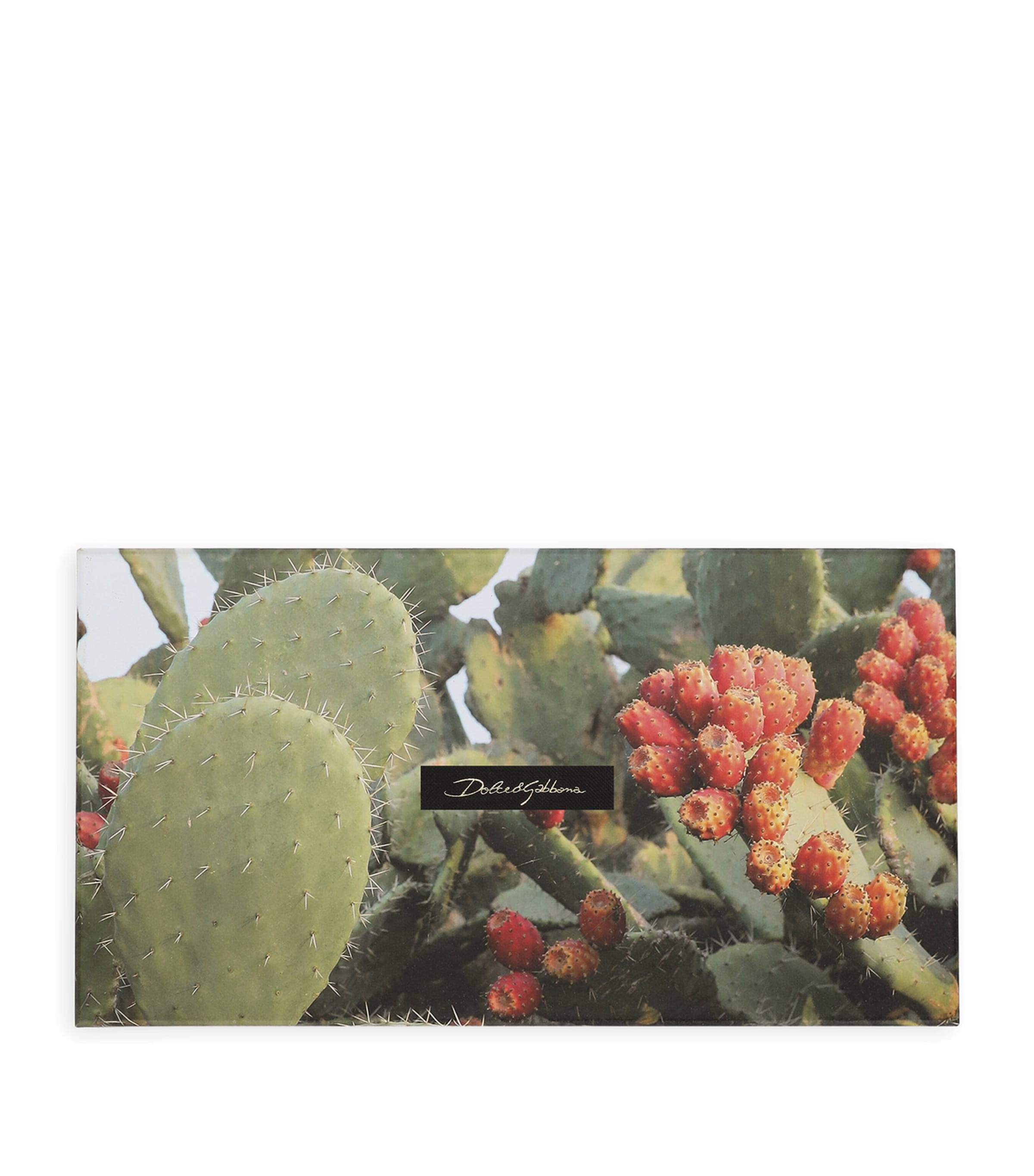 Dolce & Gabbana Casa Set Of 5 Greeting Cards