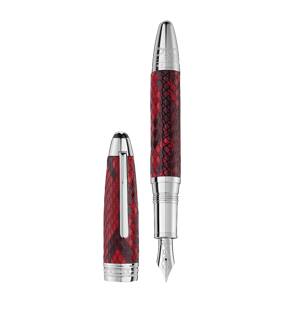 Platinum-Plated Leather Meisterstück Fountain Pen SILVER Image 1