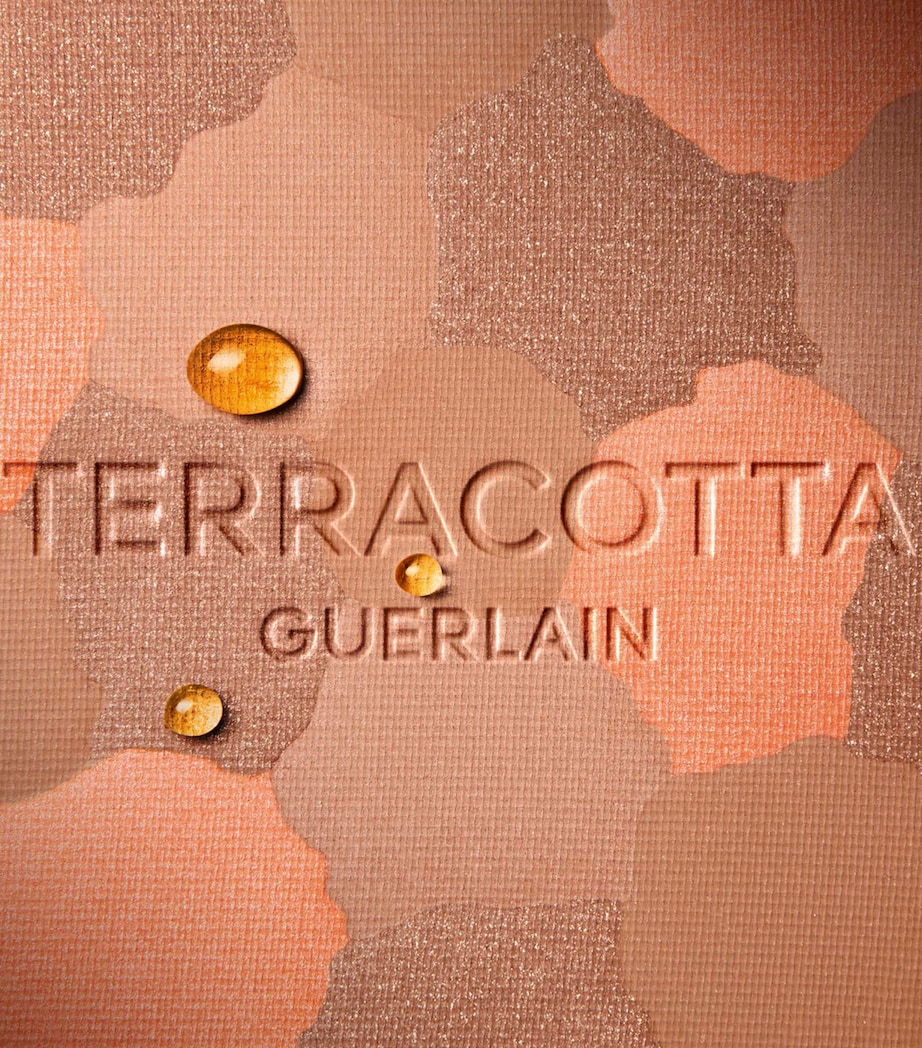 Terracotta Light Powder NO COLOUR Image 6
