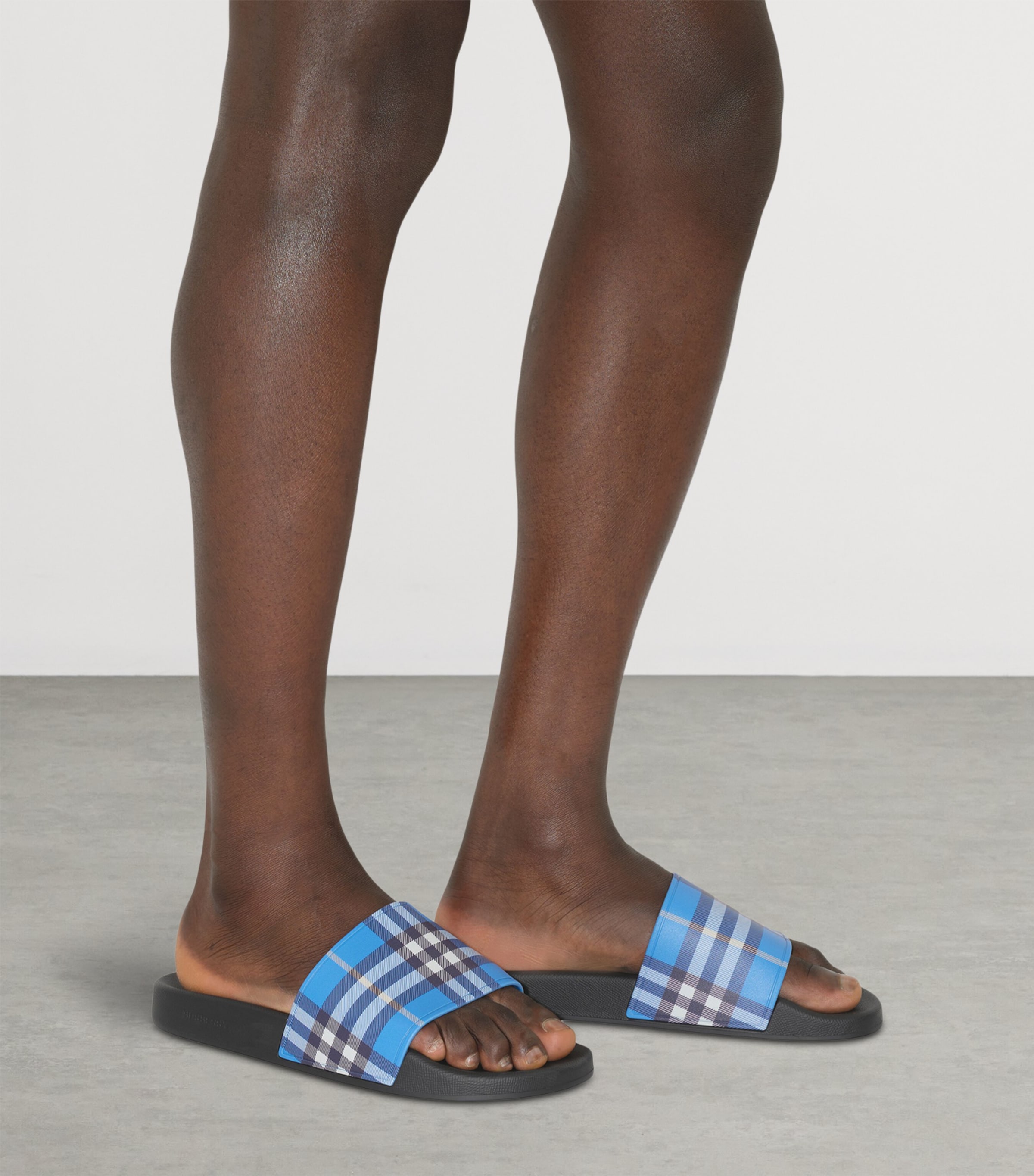 Check Slides HYACINTH IP CHECK Image 6