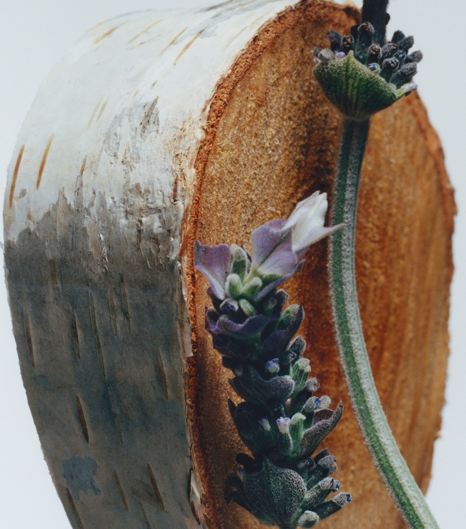 Silver Birch & Lavender Cologne (100ml) NO COLOUR Image 3