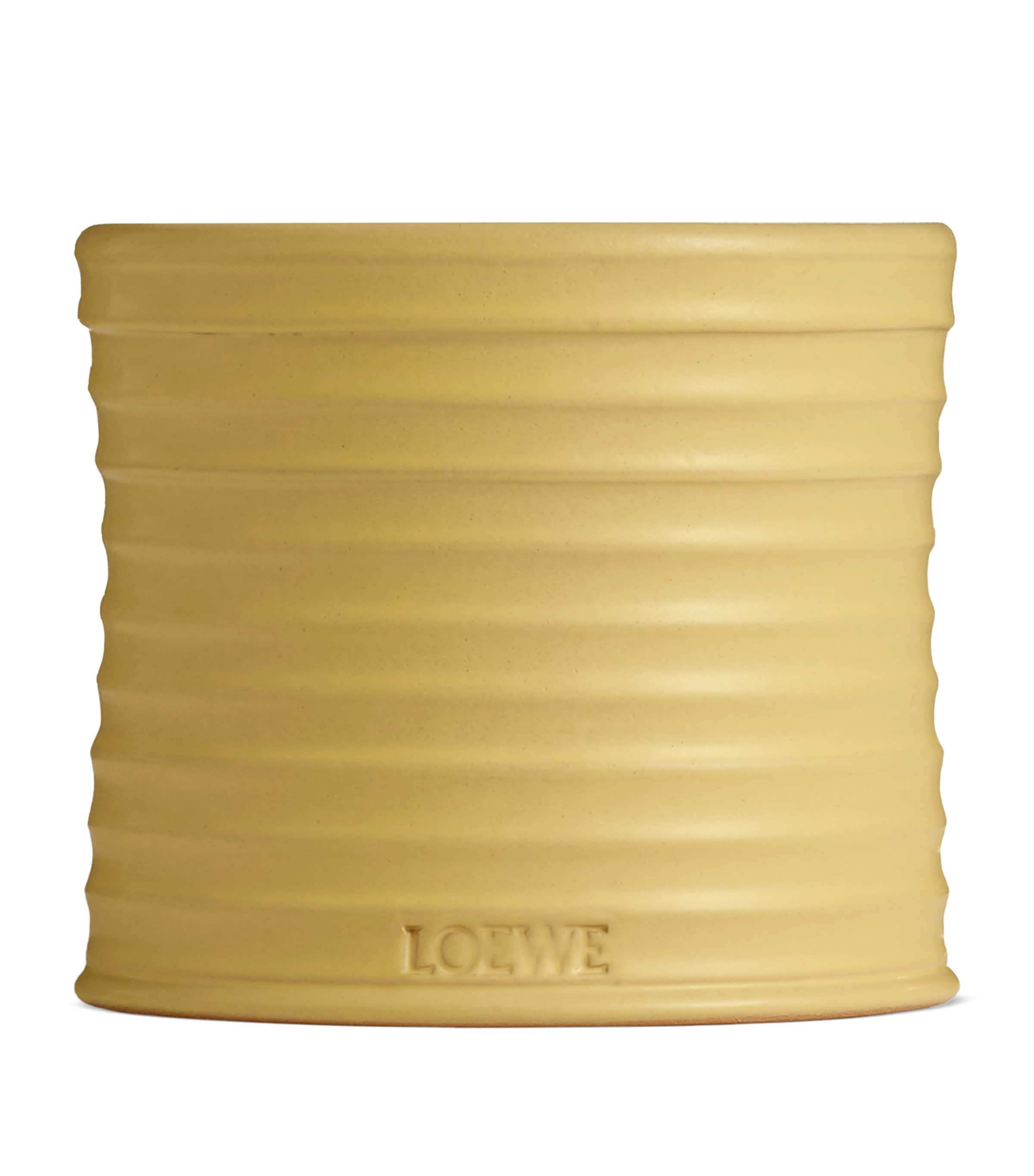 Shop Loewe Honeysuckle Candle