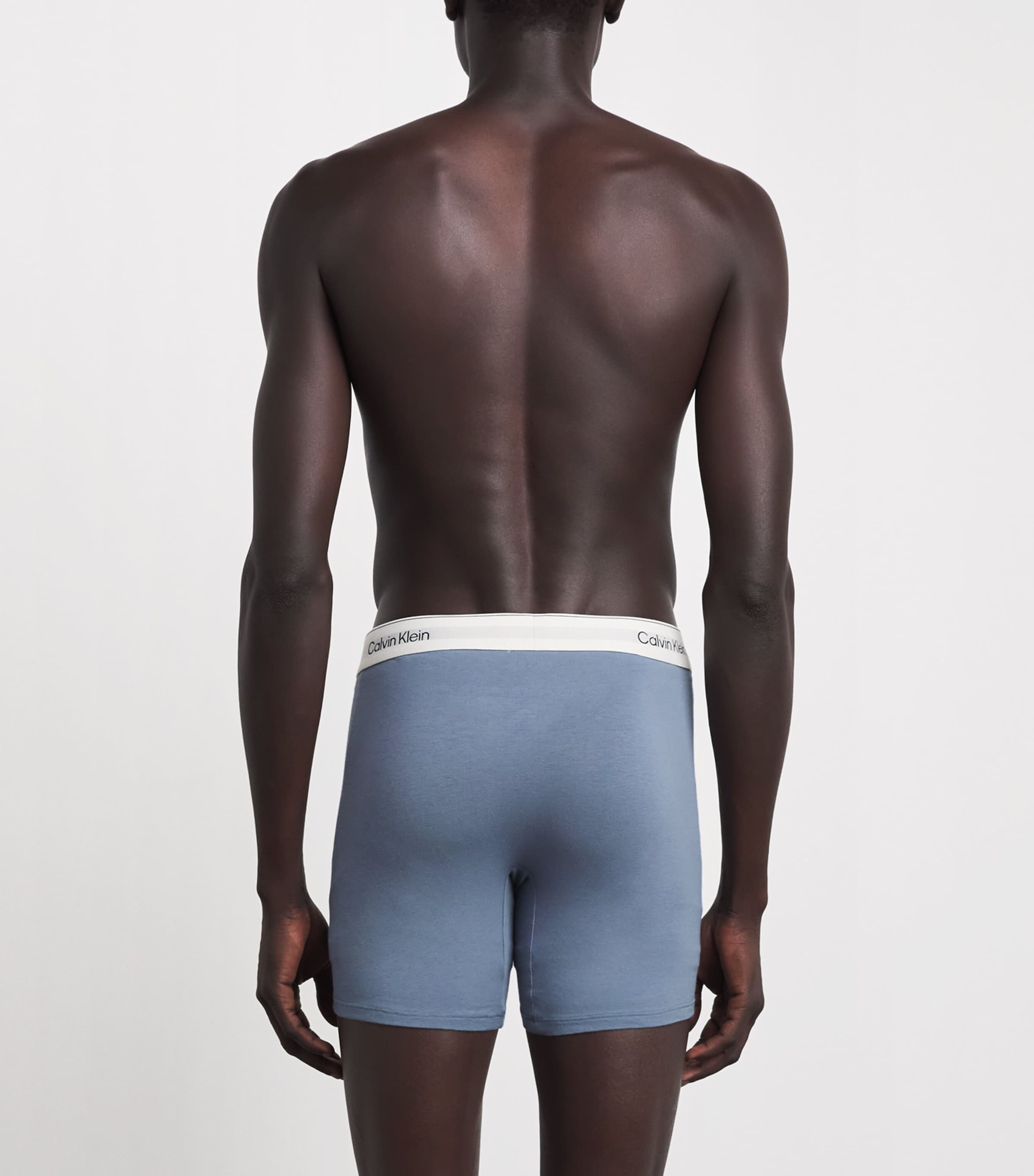 Calvin Klein Mens Stretch-Cotton Icon Boxer Briefs (Pack of 3) Adriatic Royal Image 3