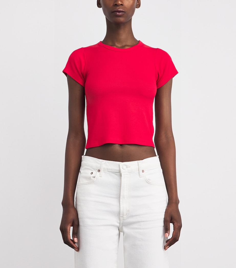 Ribbed Baby T-Shirt ROU ROUGE Image 3