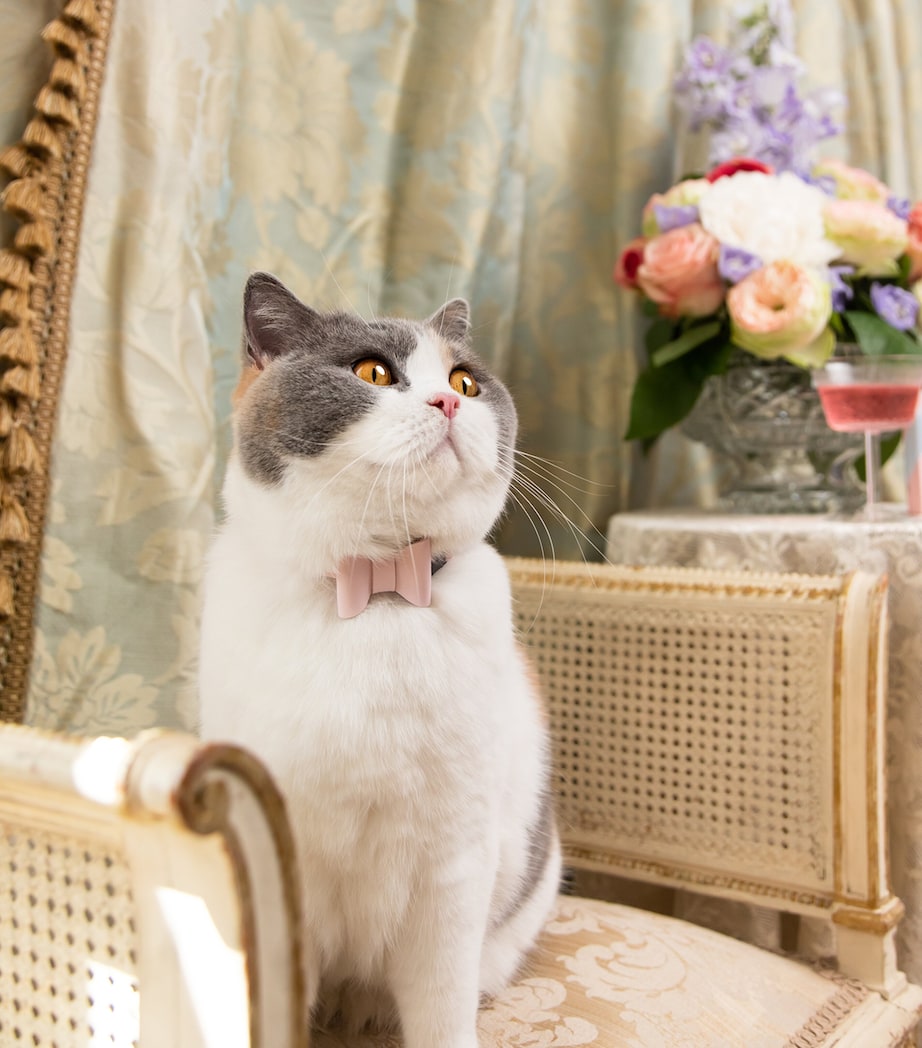 Cheshire & Wain Small Rococo Cat Collar With Bow Pink Image 3
