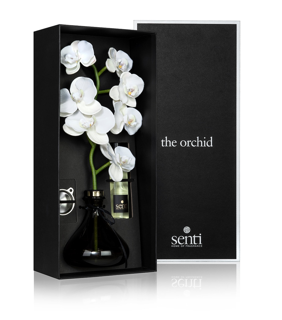 The Orchid Amber and Oud Diffuser (250ml) BRONZE Image 2