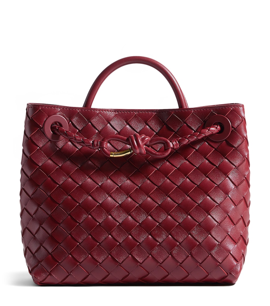 Bottega Veneta Womens Small Leather Andiamo Top-Handle Bag Image 1