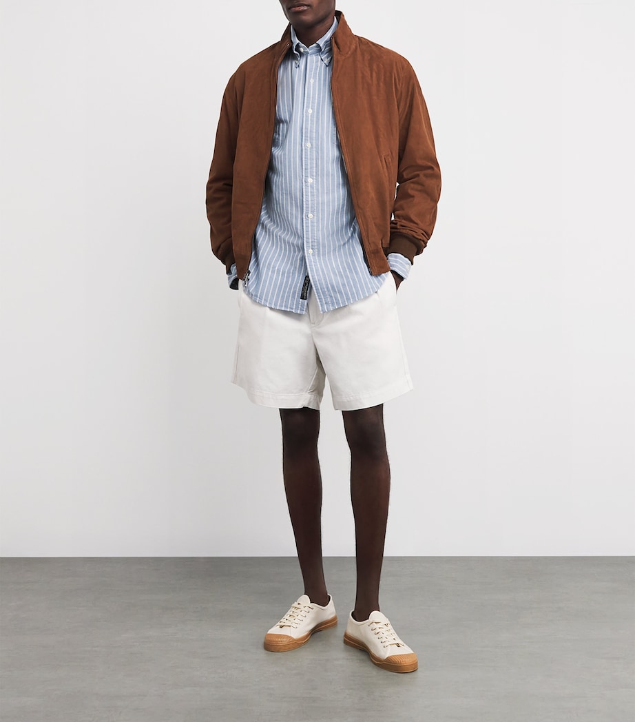 Cotton Stripe Oxford Shirt MULTI Image 2