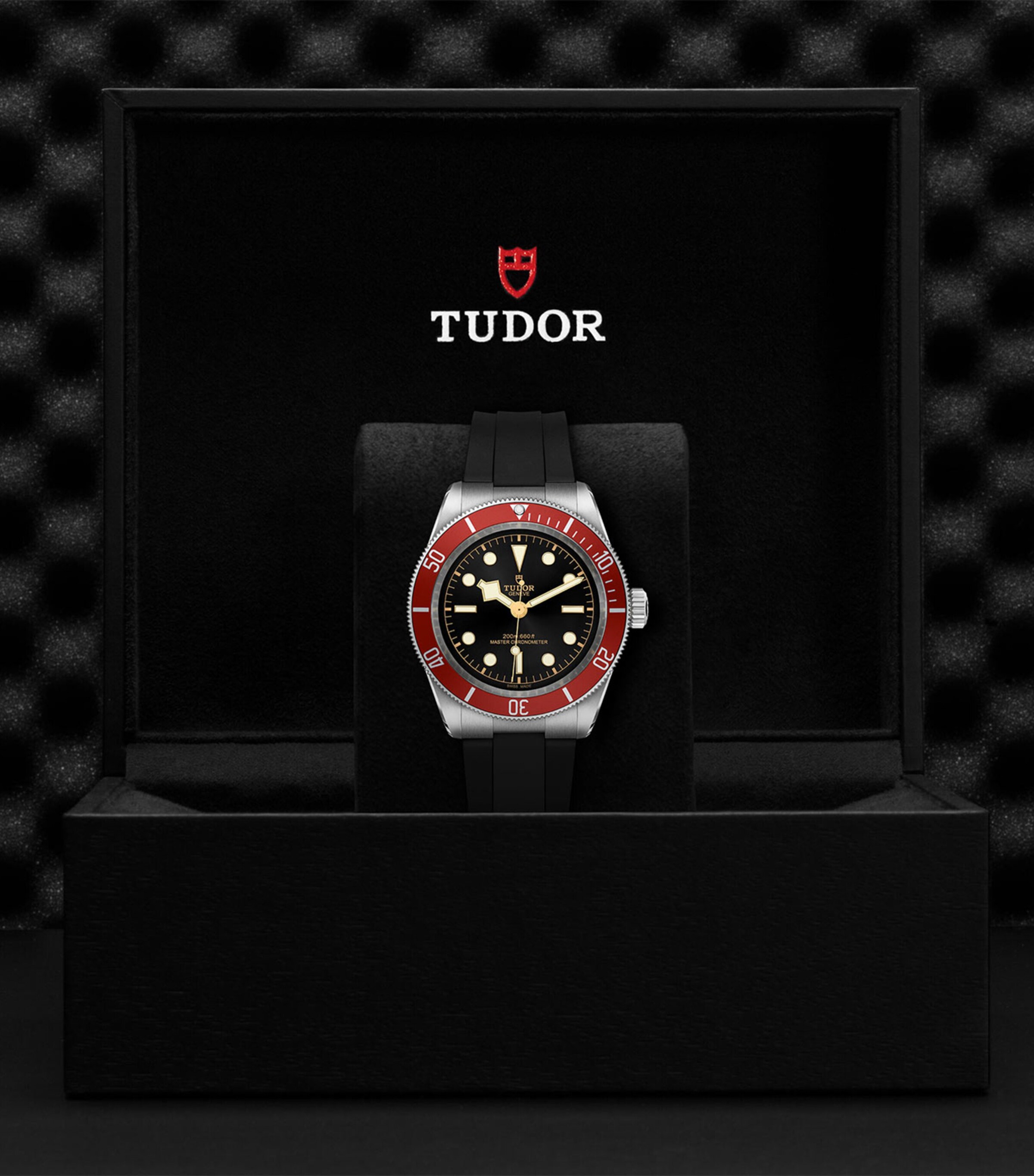 TUDOR Stainless Steel Black Bay Watch 41mm Black Image 7