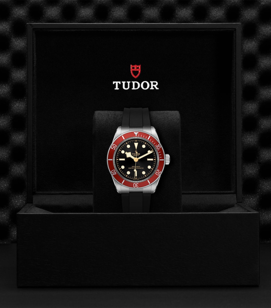 TUDOR Stainless Steel Black Bay Watch 41mm Black Image 7