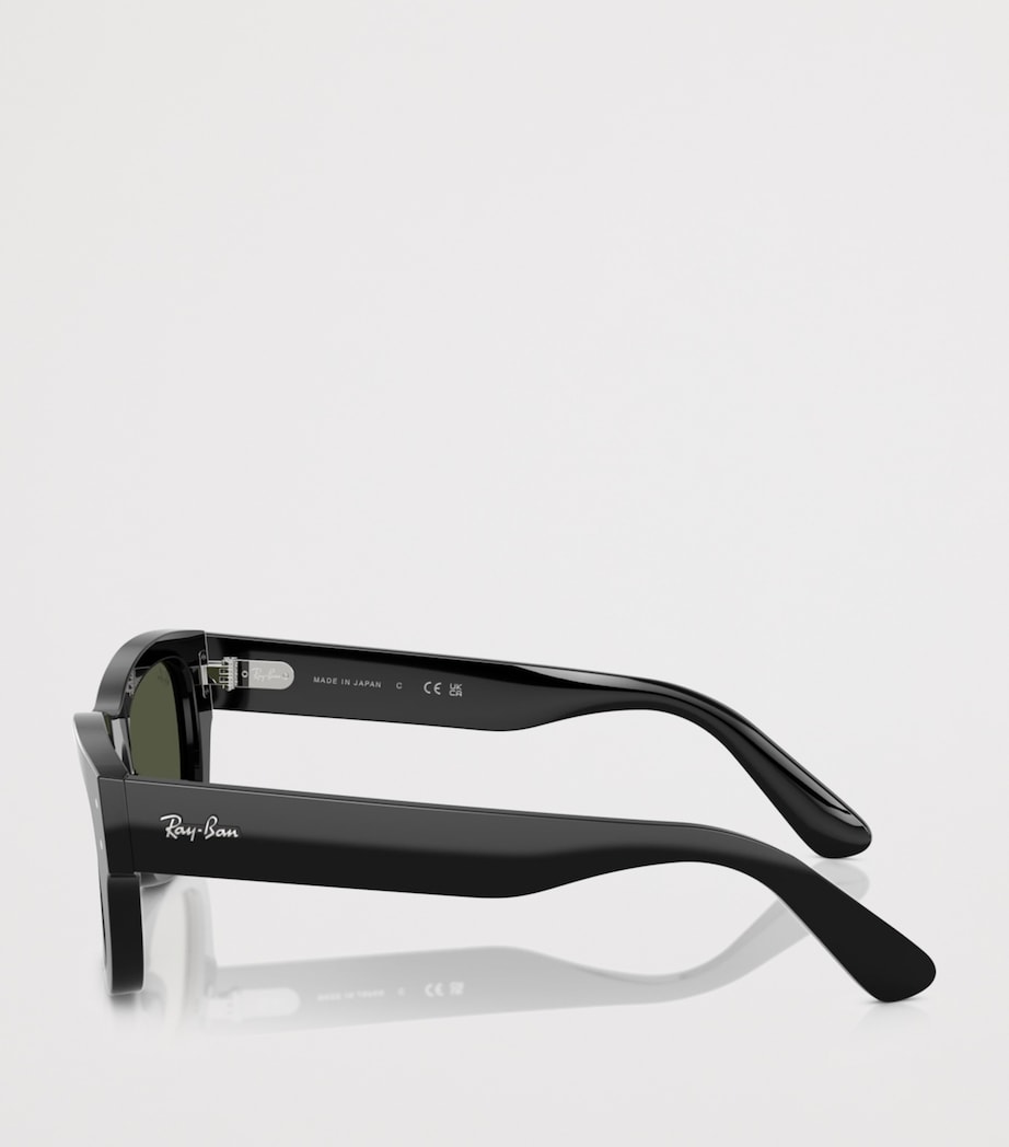 Acetate Joseph Sunglasses 901/31 Image 3
