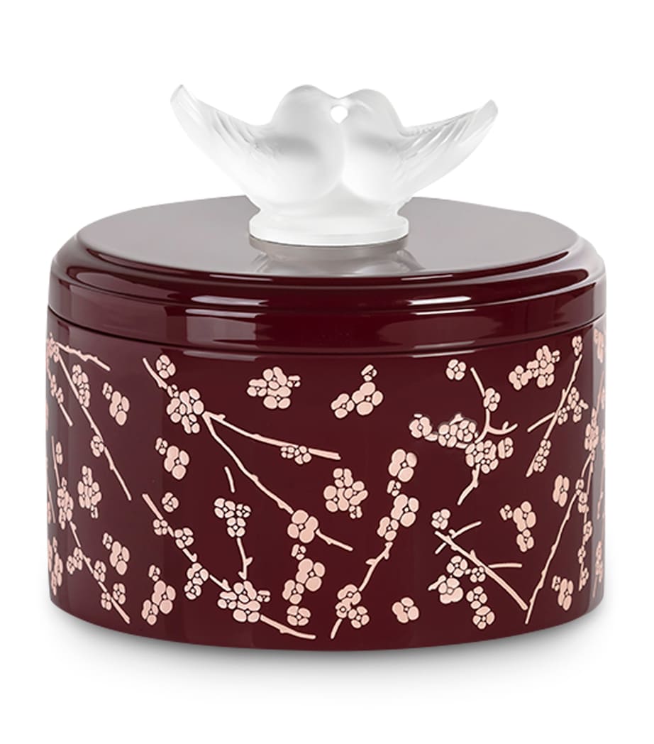 Fleurs de Cerisier Box INCOLORE Image 1