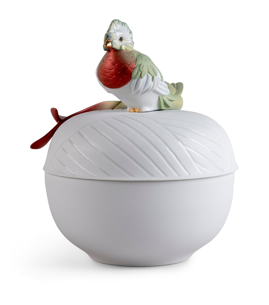 Porcelain Quetzal Box NO COLOUR Image 2