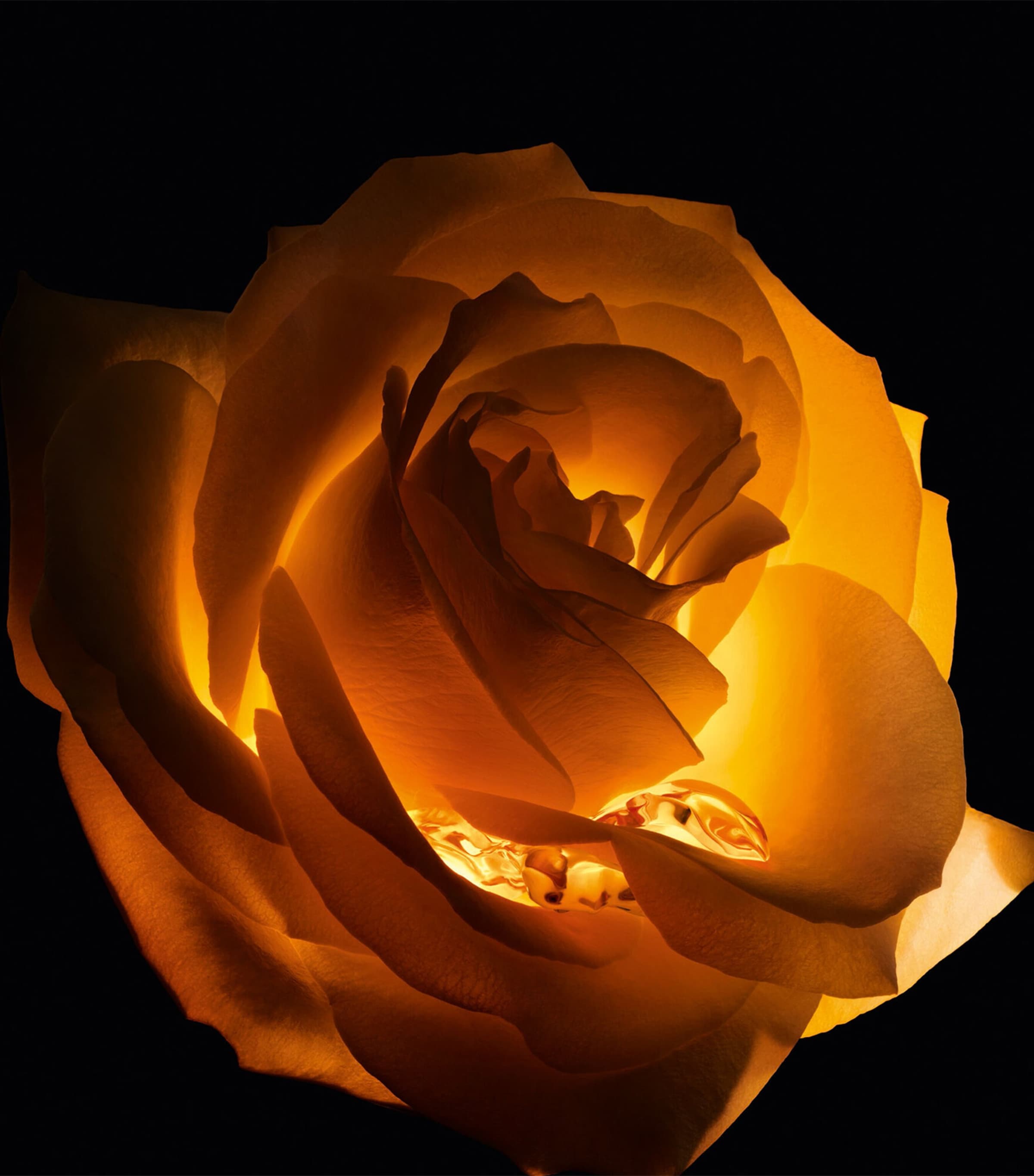 Dior Prestige Le Baume de Minuit (50ml) - Refill GOLD Image 2