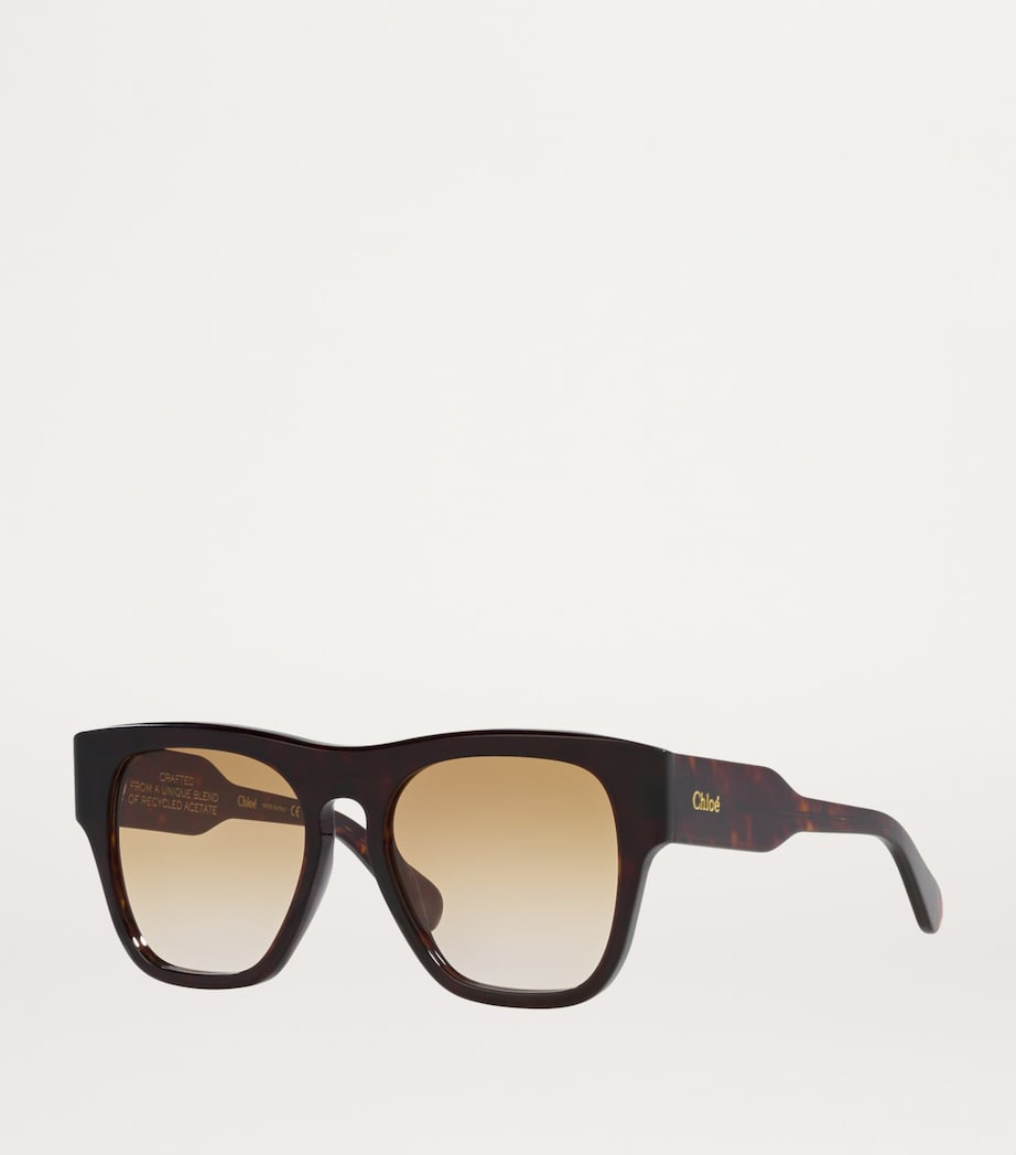 Acetate 06N000477 Sunglasses 4402D1 Image 2