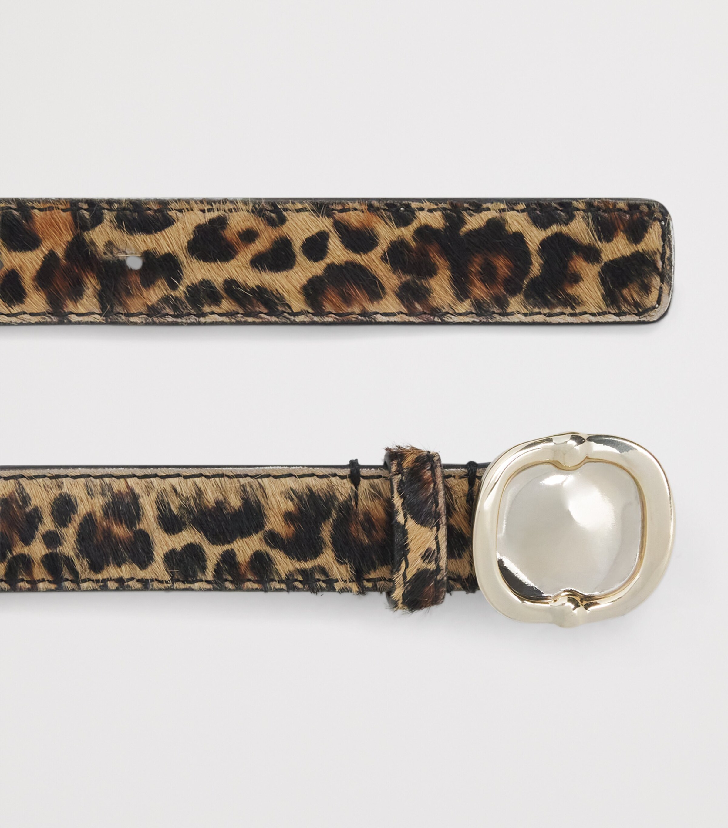 Leopard Belt MULTICOLORED Image 4