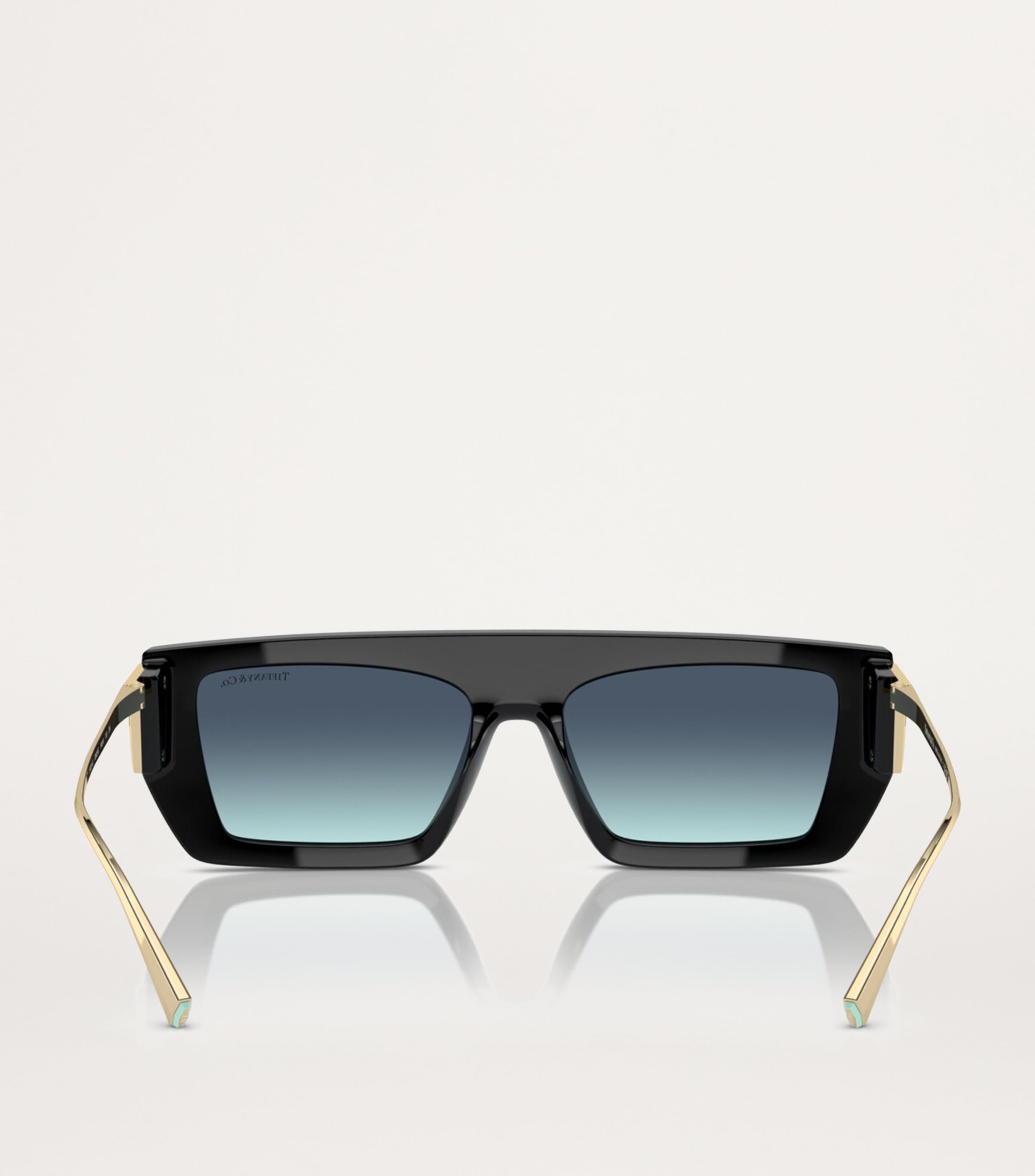 Injected 0TF4214U Sunglasses 83429S Image 4