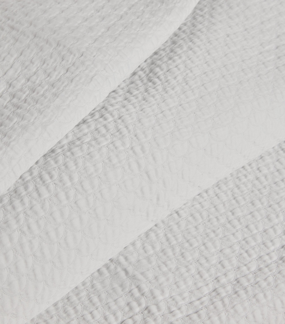 Prince Square Pillowcase (65cm x 65cm) 991 PERLE Image 5