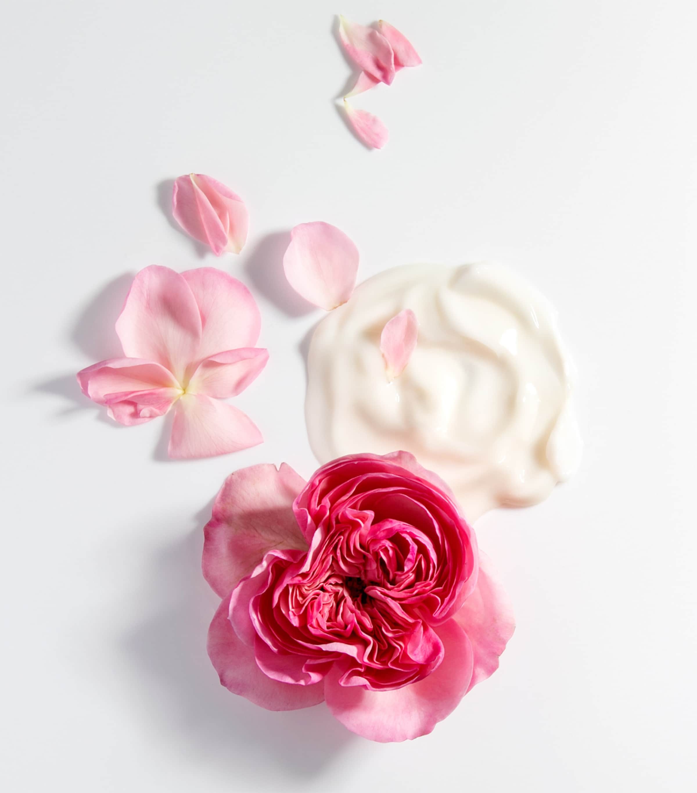 La Crème A La Rose de Mai NO COLOUR Image 3