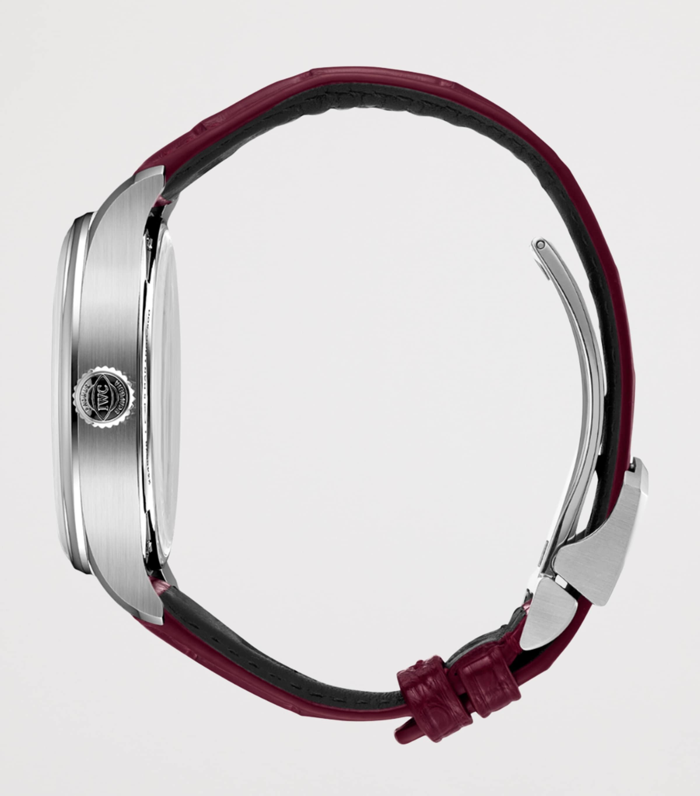 Stainless Steel Portugieser Automatic Year of the Horse Watch 42mm RED Image 4