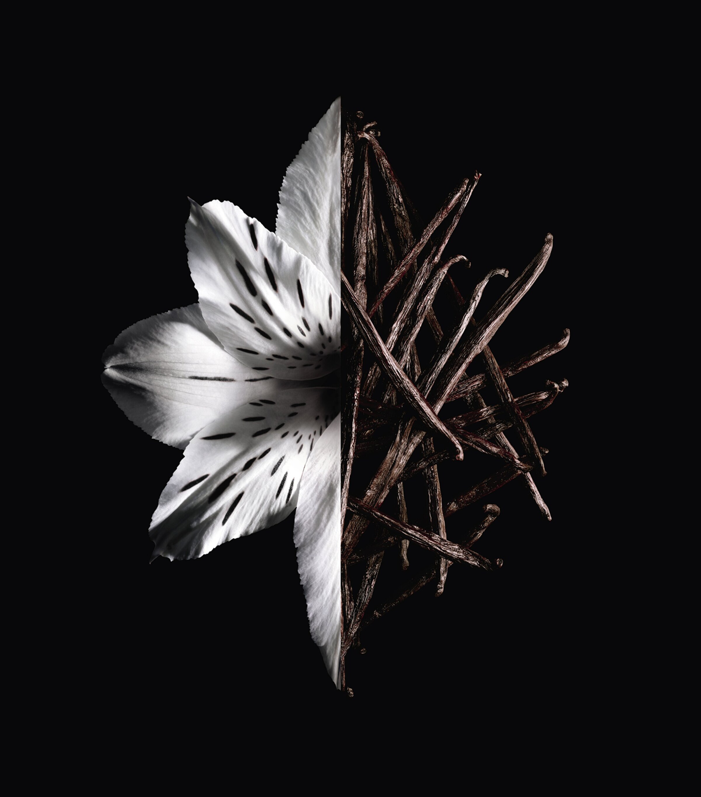 Givenchy L’Interdit Eau de Parfum Intense (50ml) Image 5