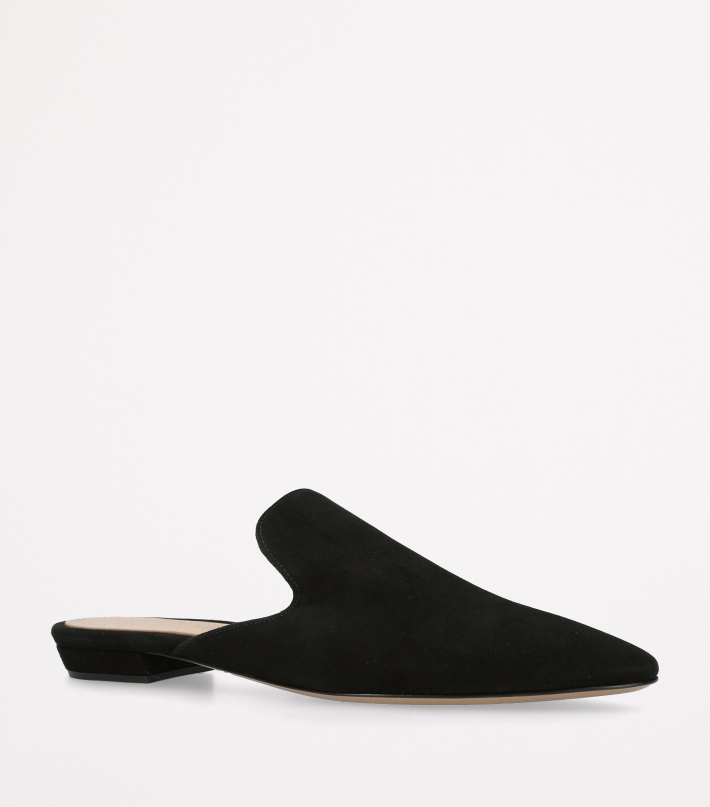 Gianvito Rossi Suede Raja Slides Black Image 3