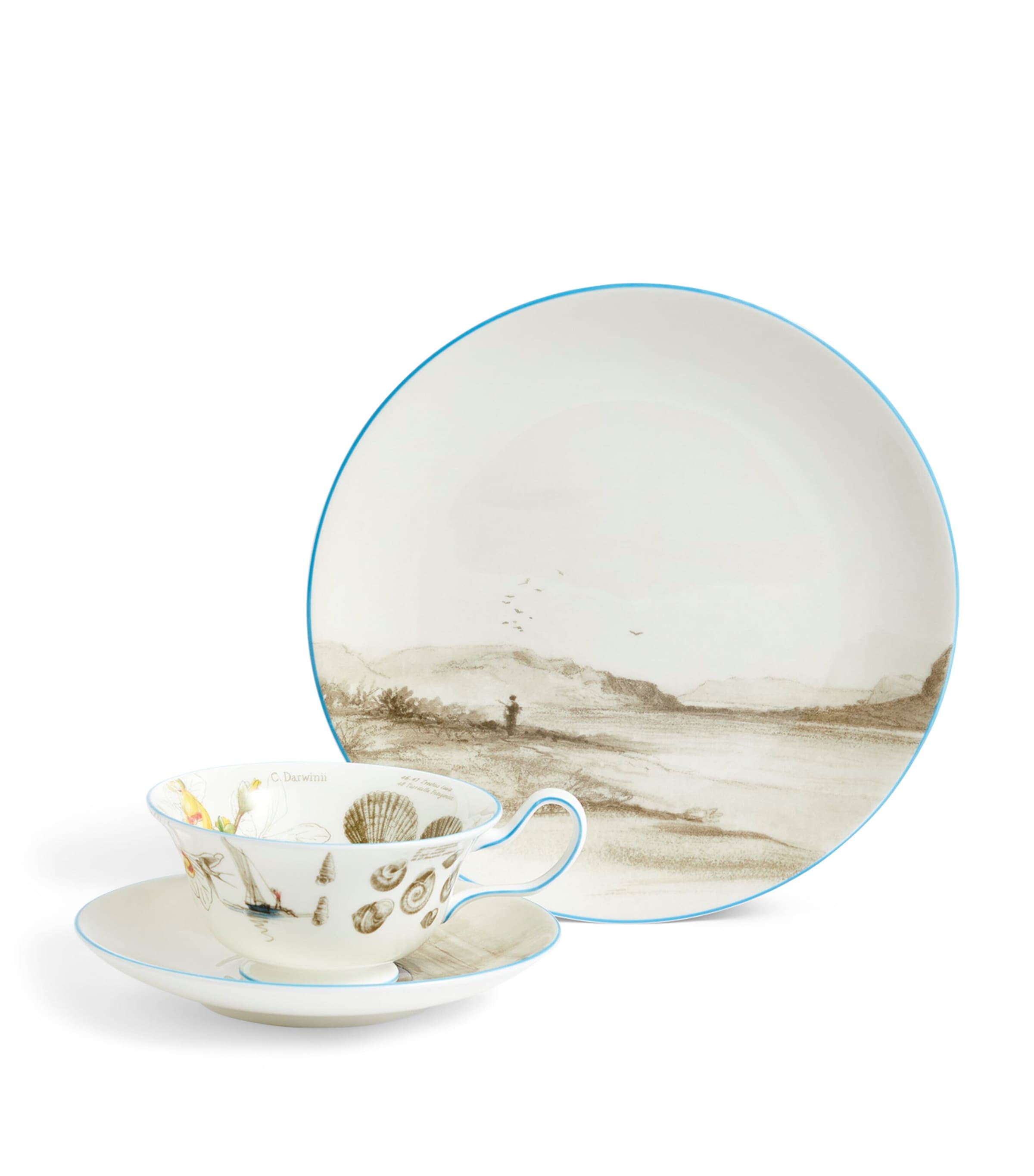 Wedgwood Voyage of the Beagle Brazil Plate, Teacup and Saucer Set | Dining | Tableware | Tea Cups & Saucers | Designers | Wedgwood