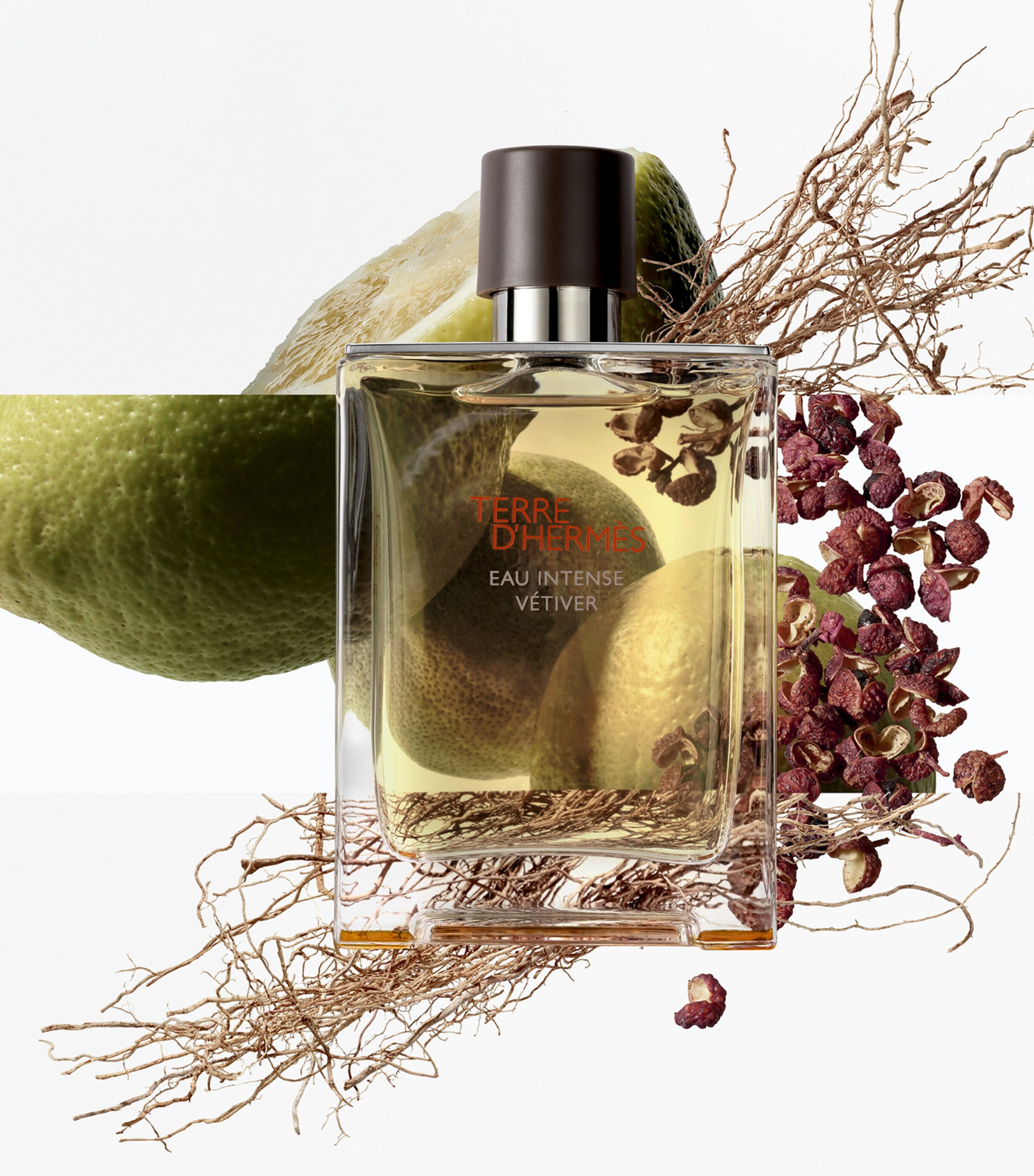 HERMÈS Terre D'Hermès Eau Intense Vétiver Eau de Parfum (100ml) Image 7