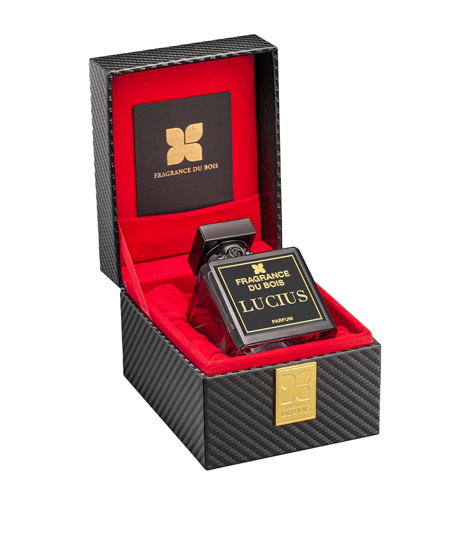 Lucius Parfum (100ml) NO COLOUR Image 2