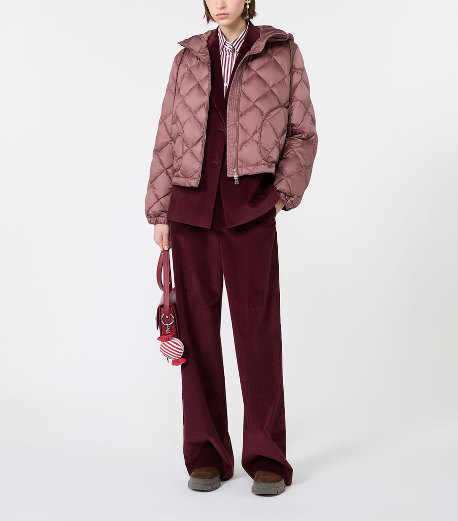Weekend Max Mara Womens Cotton Stripe Shirt Bordeaux Image 2