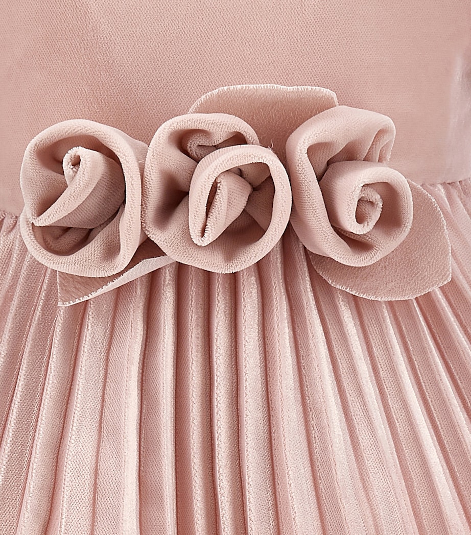 Velvet Rose Dress (3-36 Months) ROSA CHIARO Image 4