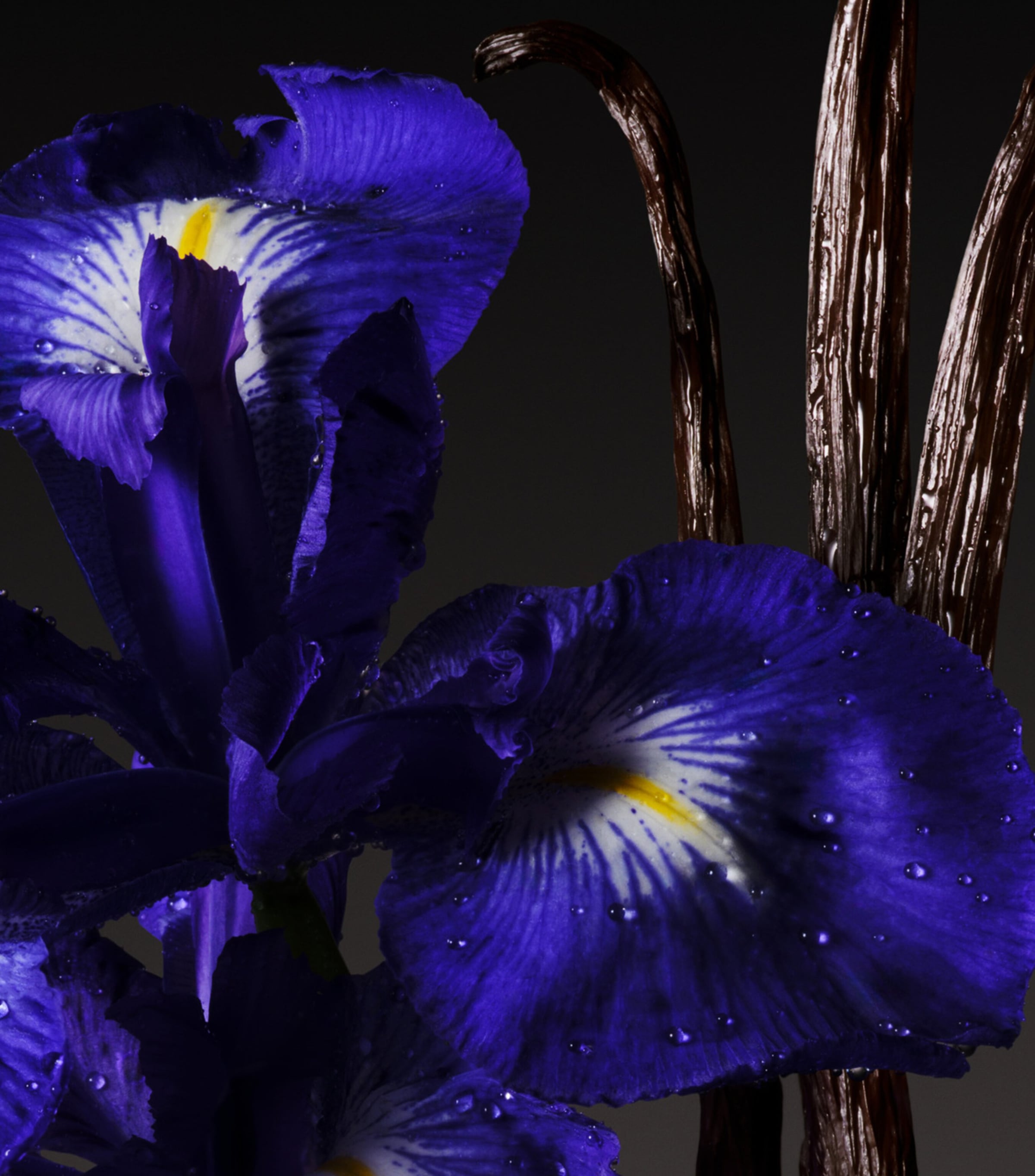 The Alchemist’s Garden Vanilla Firenze Eau de Parfum (100ml) NO COLOUR Image 4