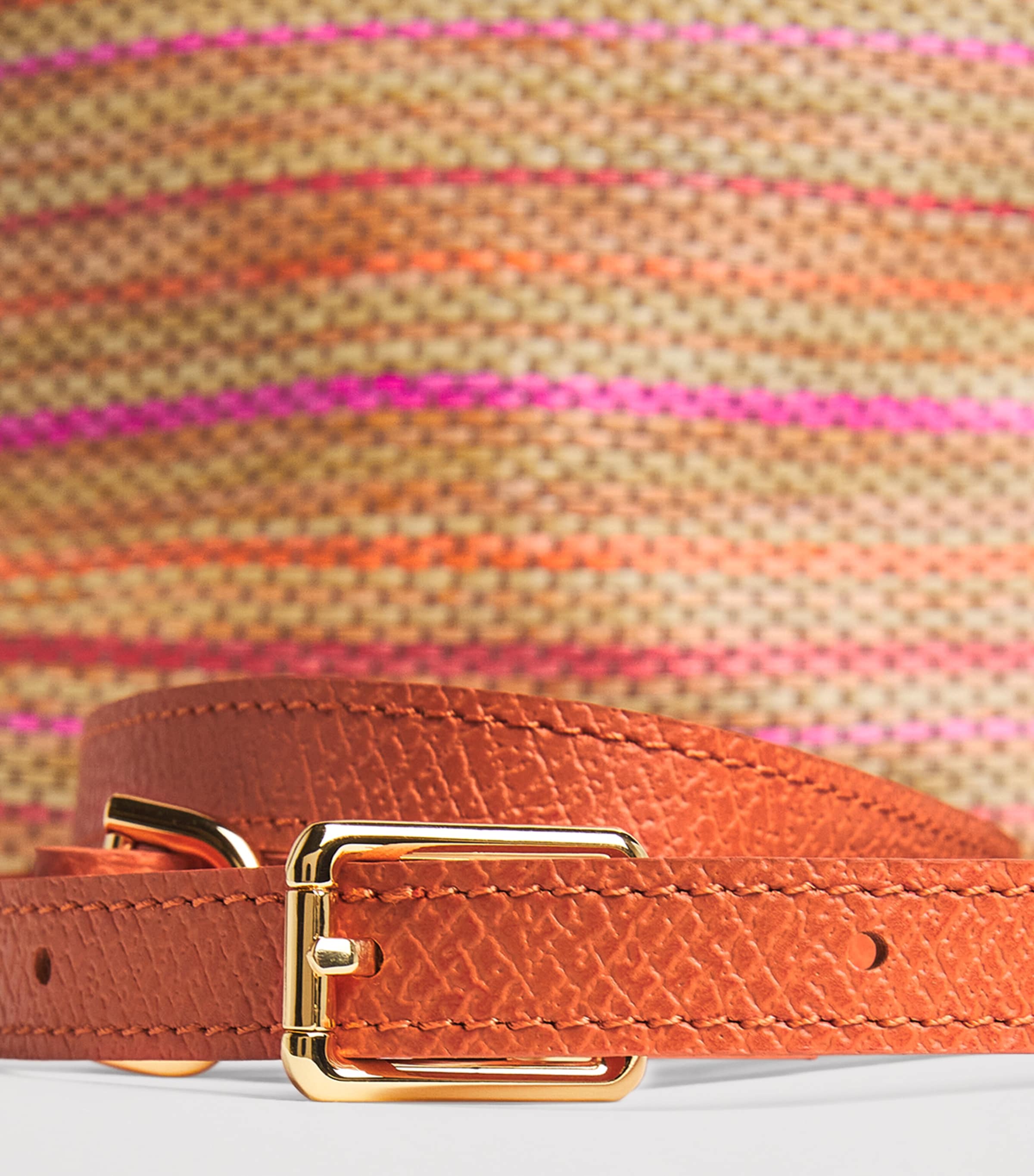 Longchamp Raffia Le Panier Pliage Cross-Body Bag Rainbow Image 6