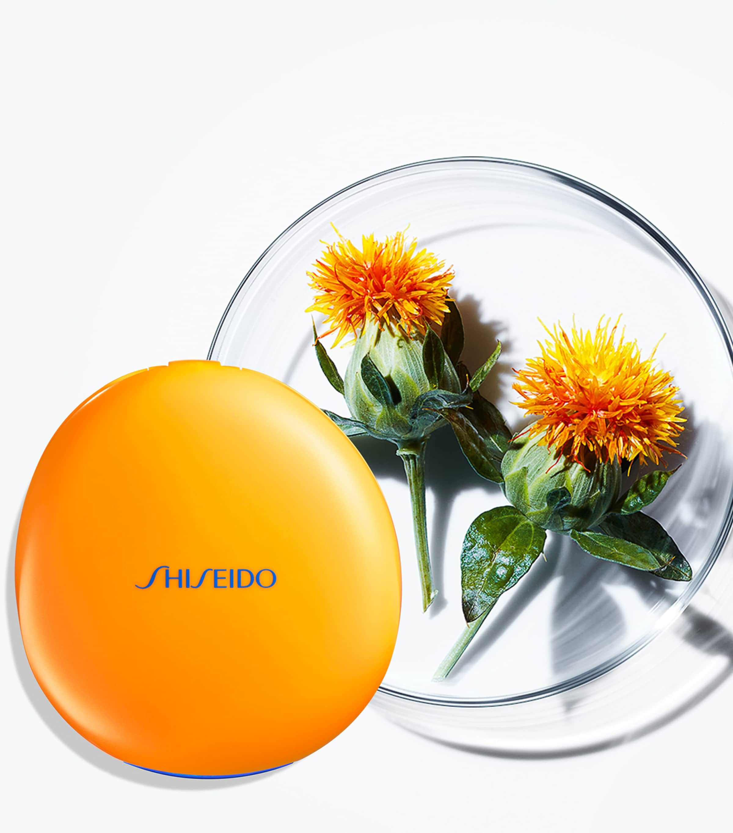 Tanning Compact Foundation SPF10 NA Image 4