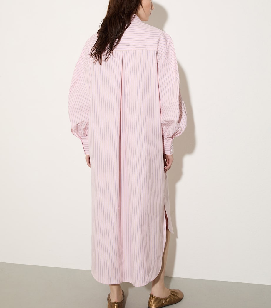 MAX&Co. Womens Cotton Pinstripe Shirt Dress Powder Image 5
