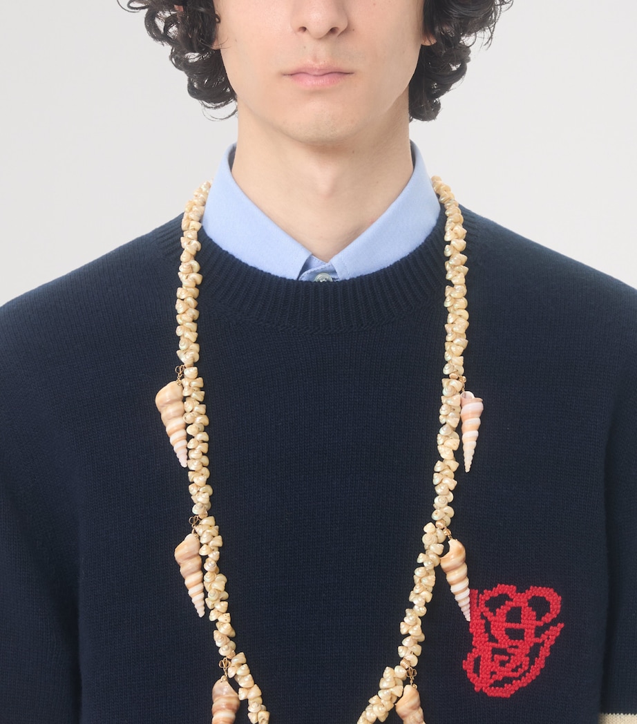 Wool Embroidered Stripe Sweater BLB Image 6