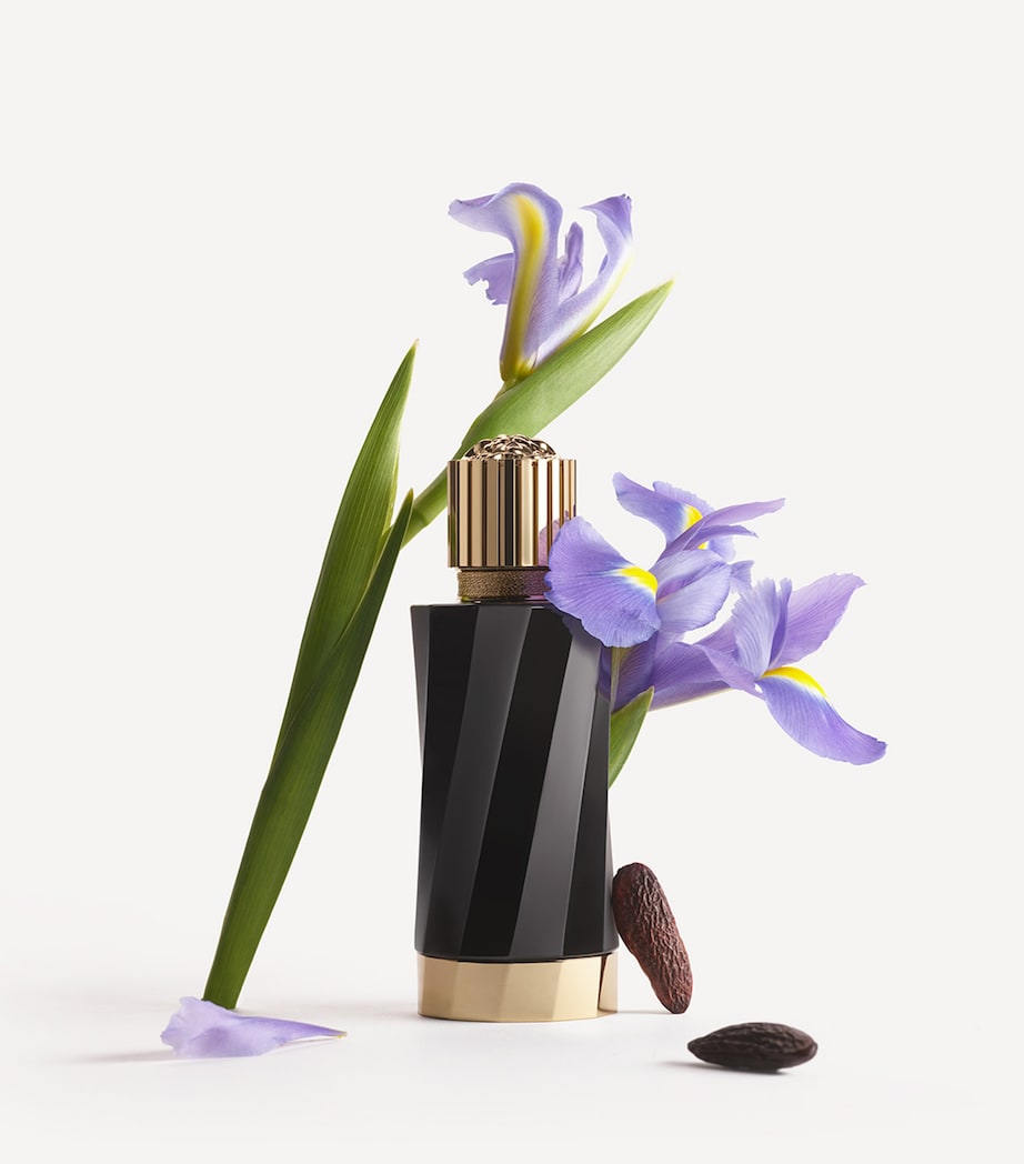 Versace Atelier Collection Iris d'Élite Eau de Parfum (100ml) Image 3