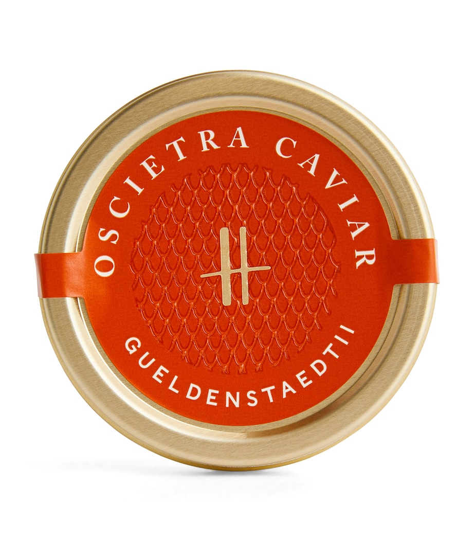 Oscietra Caviar (30g) NO COLOUR Image 1