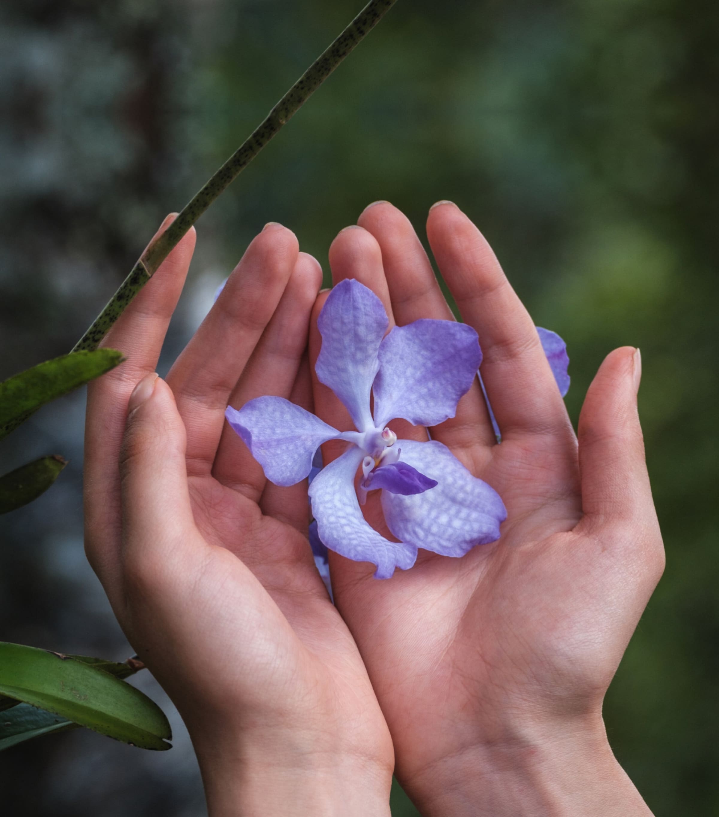 Orchidée Impériale The Longevity Cream (50ml) - Refill NO COLOUR Image 9