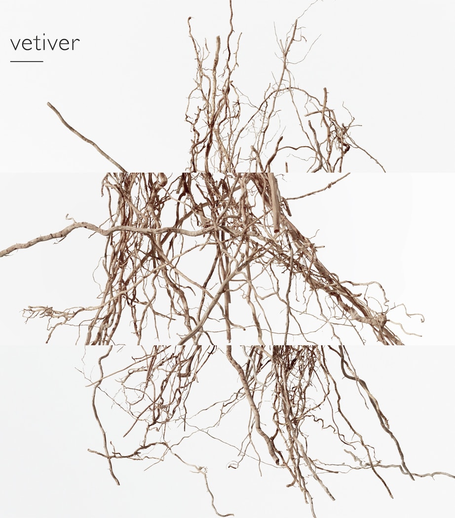 Eau de Pamplemousse Rose Eau de Toilette (100ml) NO COLOUR Image 5