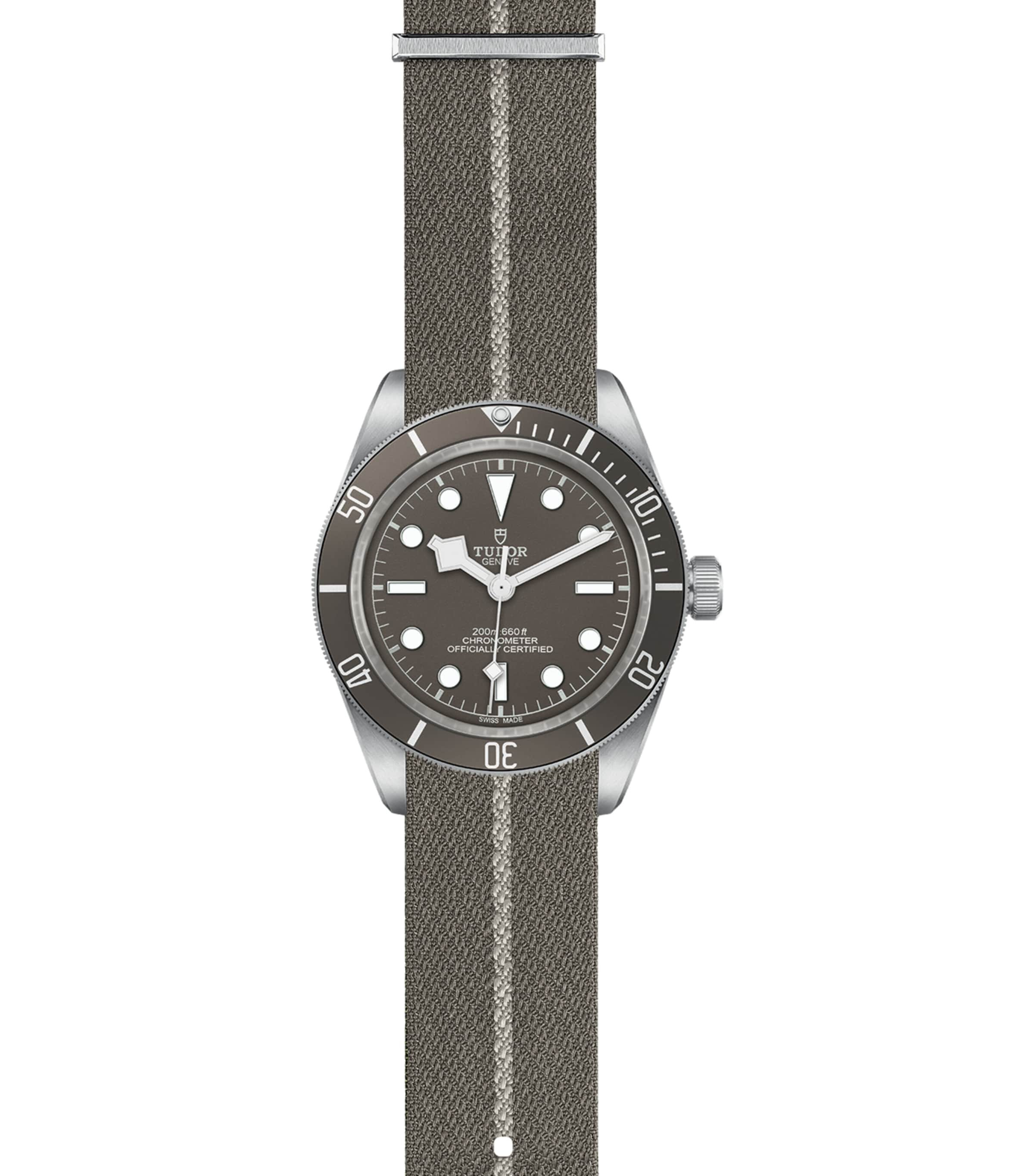 Black Bay Fifty-Eight Silver Watch 39mm GREY Image 2