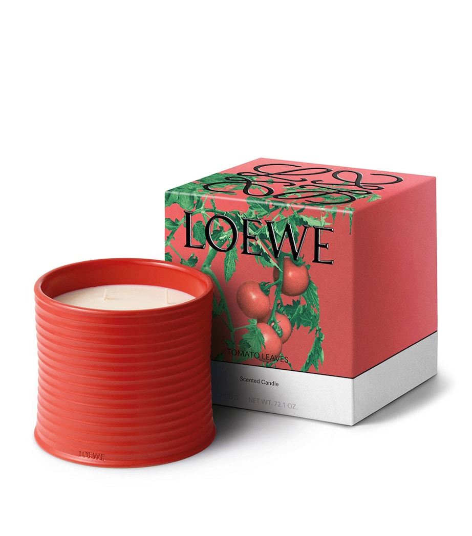 Large Tomato Leaves Scented Candle NO COLOUR Image 2