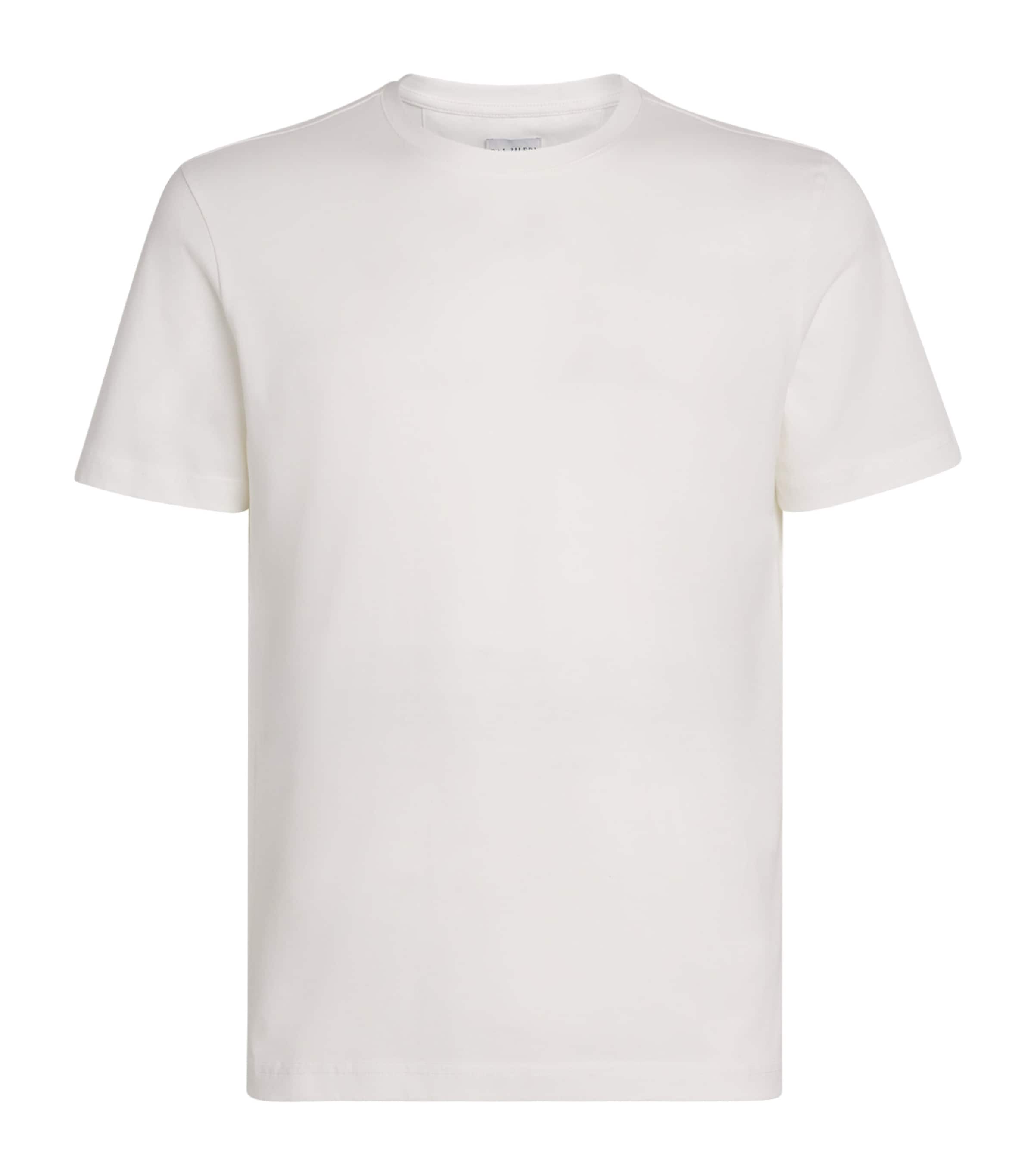Pal Zileri Cotton Crew-neck T-shirt In White