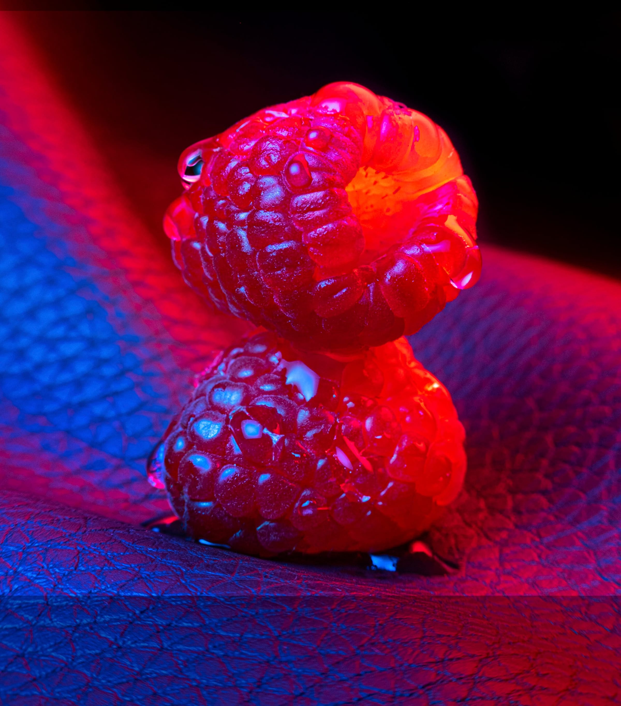 x Jordi Fernandez Cuir InfraRouge Extrait de Parfum (50ml) NO COLOUR Image 5