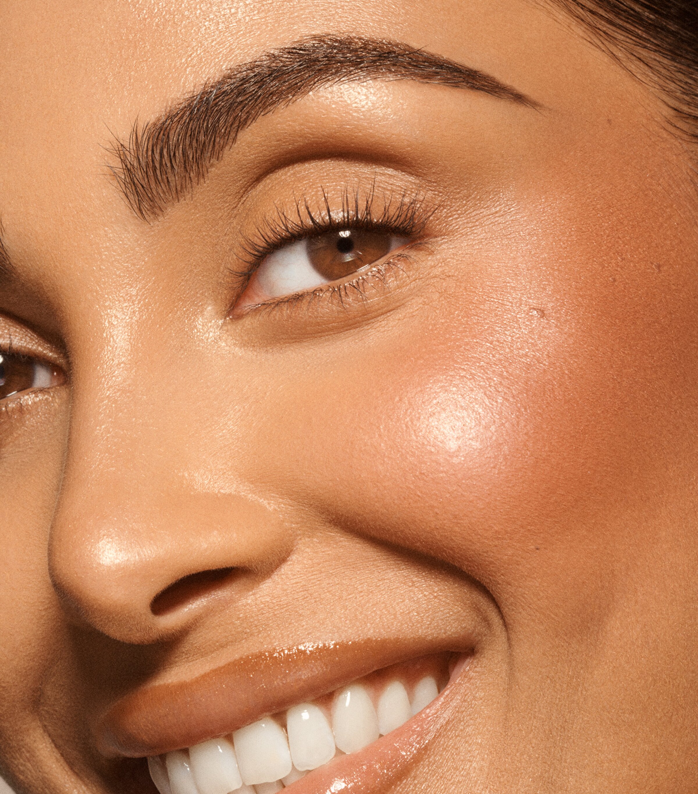 Sunset Blush ROSA Image 3