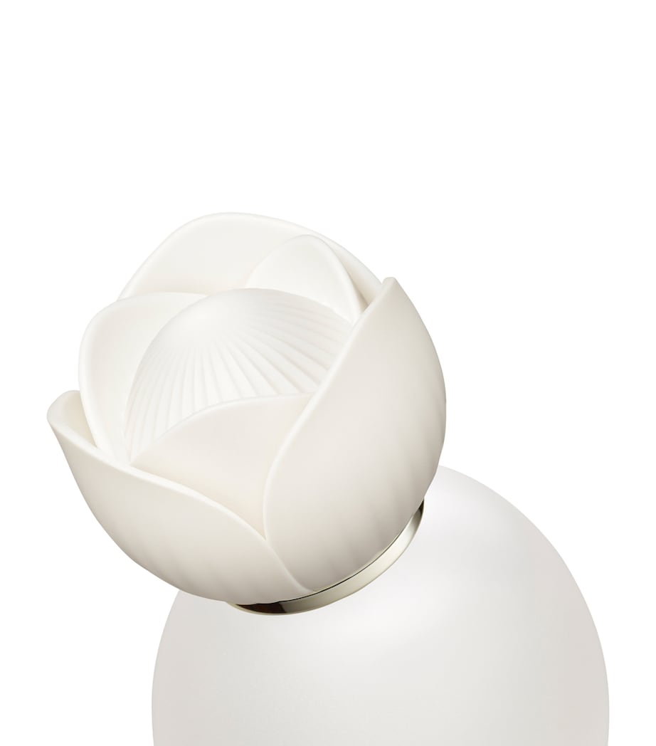 AQ Perfumed Hair Mist (30ml) NO COLOUR Image 2