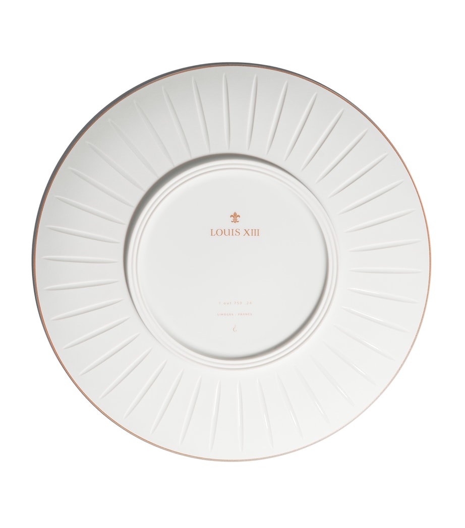 Set of 2 Light of Time Dinner Plates (29.5cm) NO COLOUR Image 6