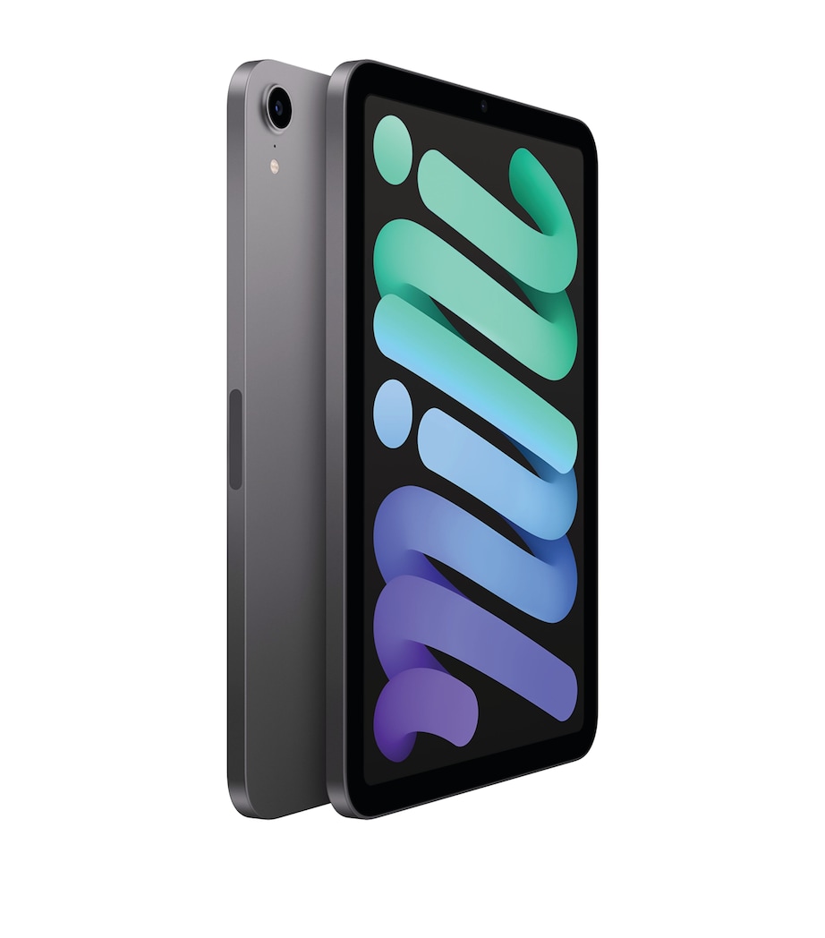 iPad Mini 8.3" Wi-Fi 256GB - Space Grey SPACE GREY Image 2