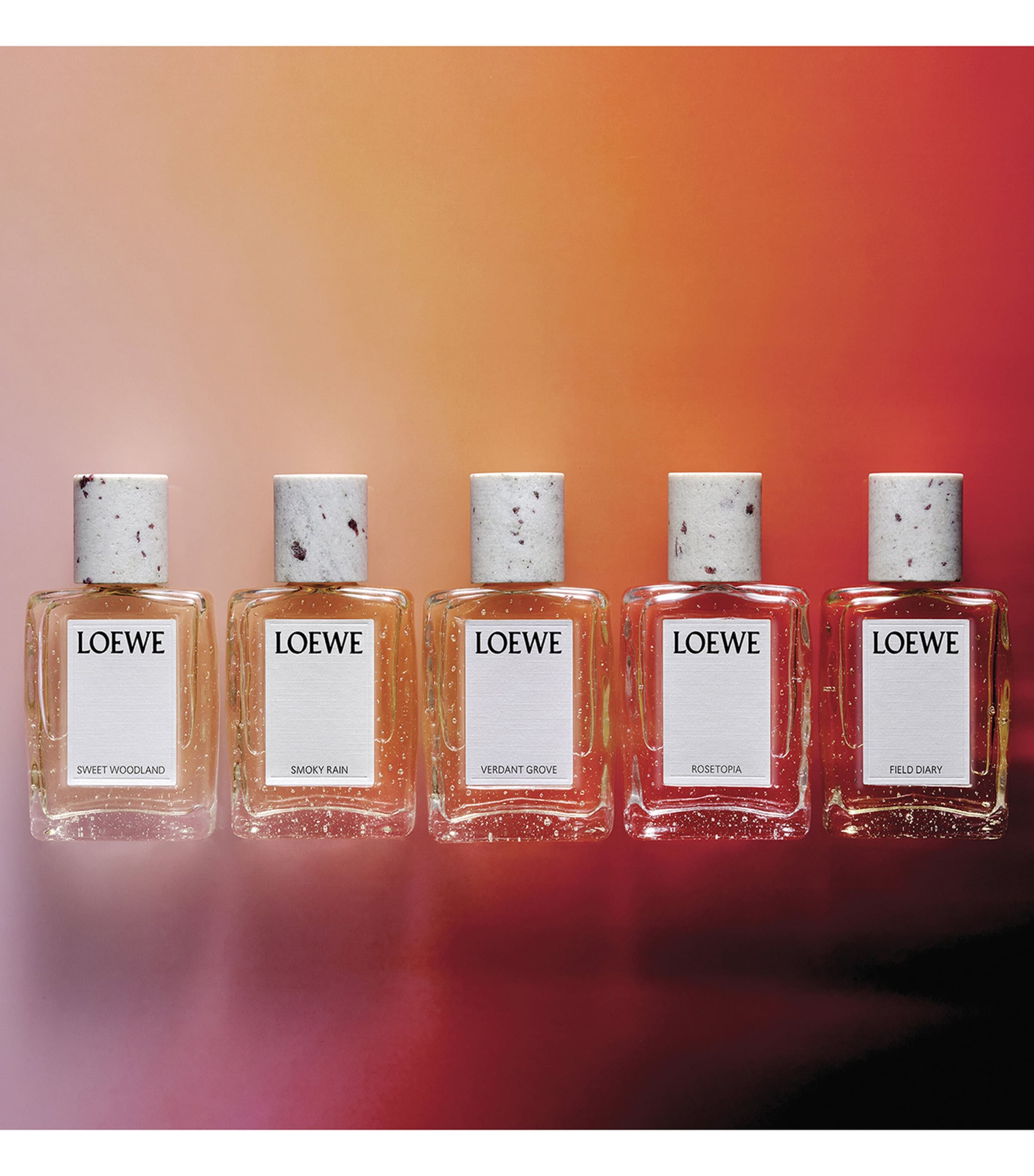 LOEWE Perfumes Rosetopia Eau de Parfum (100ml) Image 5